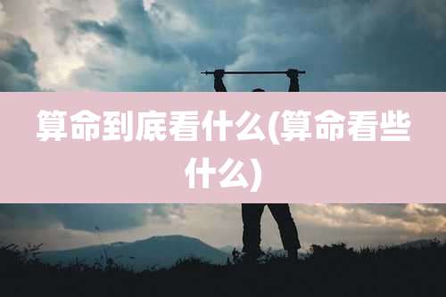 算命到底看什么(算命看些什么)