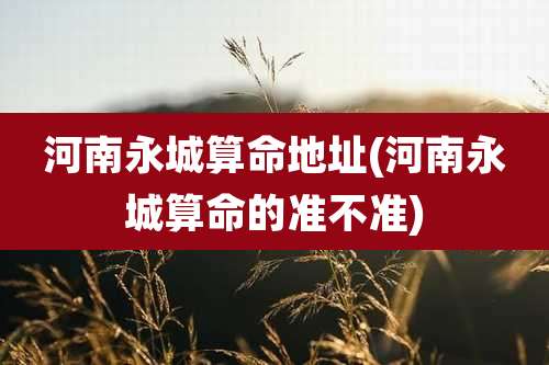 河南永城算命地址(河南永城算命的准不准)