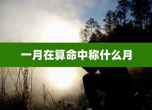 一月在算命中称什么月