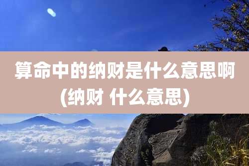 算命中的纳财是什么意思啊(纳财 什么意思)