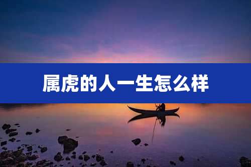 属虎的人一生怎么样