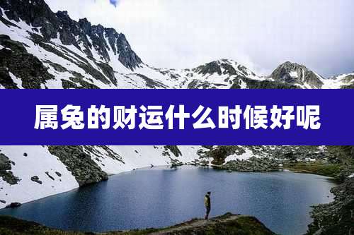 属兔的财运什么时候好呢