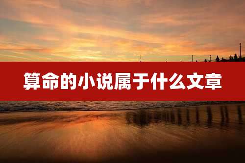 算命的小说属于什么文章