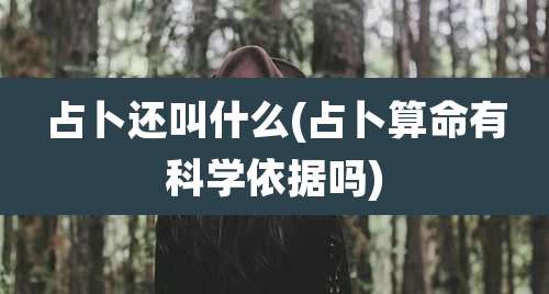 占卜还叫什么(占卜算命有科学依据吗)