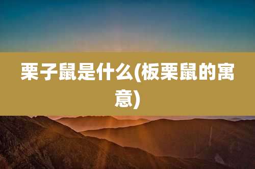 栗子鼠是什么(板栗鼠的寓意)