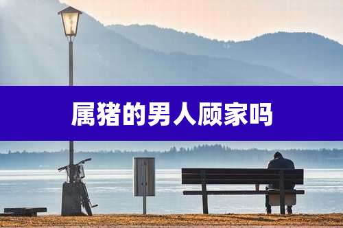 属猪的男人顾家吗