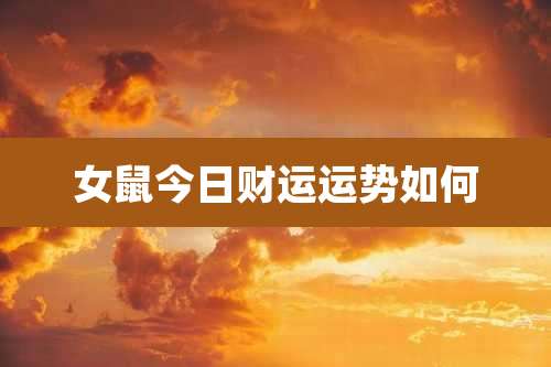 女鼠今日财运运势如何