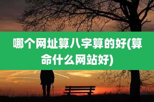 哪个网址算八字算的好(算命什么网站好)