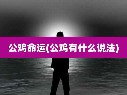 公鸡命运(公鸡有什么说法)