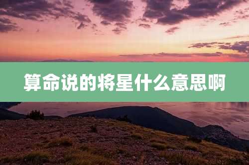 算命说的将星什么意思啊