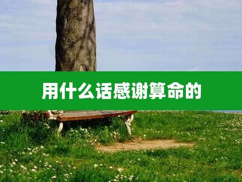 用什么话感谢算命的