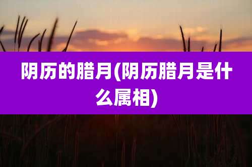 阴历的腊月(阴历腊月是什么属相)