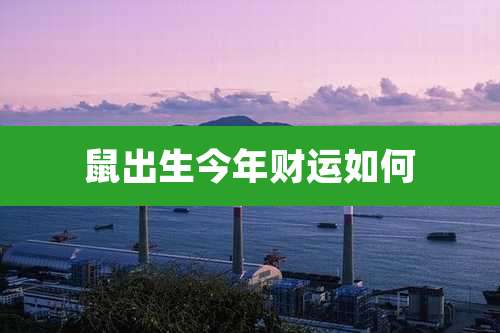 鼠出生今年财运如何