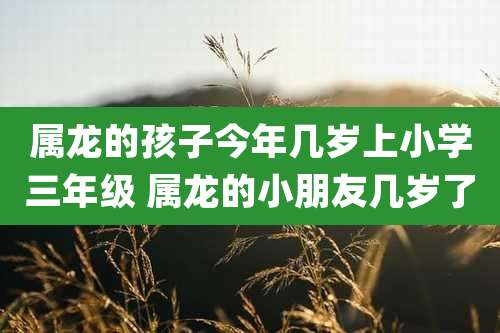 属龙的孩子今年几岁上小学三年级 属龙的小朋友几岁了