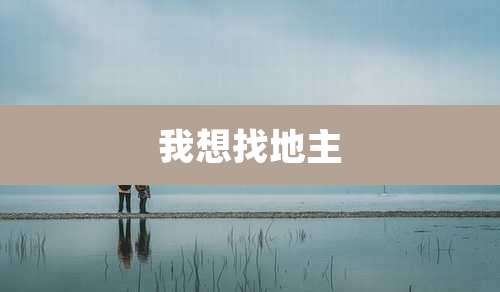 我想找地主