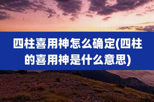 四柱喜用神怎么确定(四柱的喜用神是什么意思)