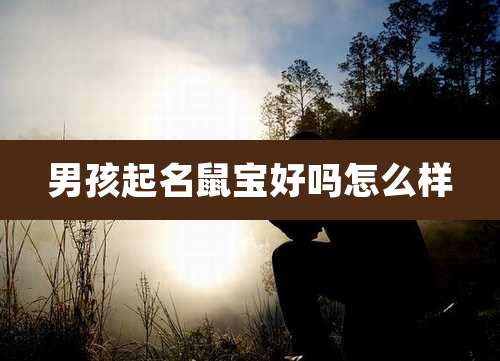 男孩起名鼠宝好吗怎么样