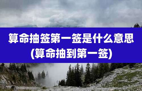 算命抽签第一签是什么意思(算命抽到第一签)