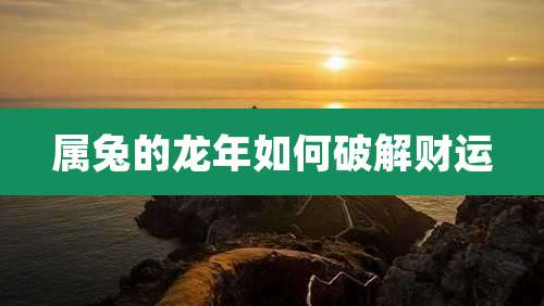 属兔的龙年如何破解财运