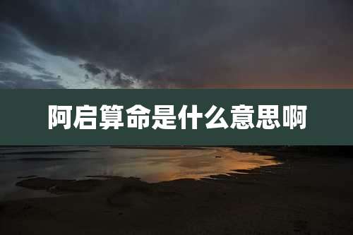 阿启算命是什么意思啊