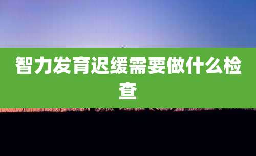 智力发育迟缓需要做什么检查