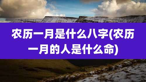 农历一月是什么八字(农历一月的人是什么命)