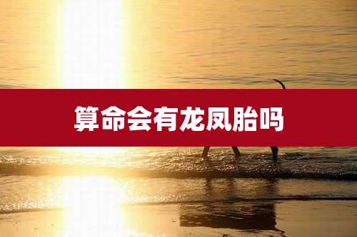 算命会有龙凤胎吗