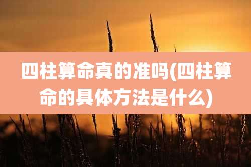 四柱算命真的准吗(四柱算命的具体方法是什么)