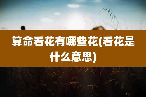 算命看花有哪些花(看花是什么意思)