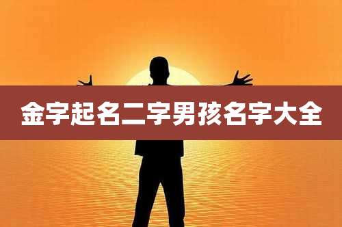 金字起名二字男孩名字大全