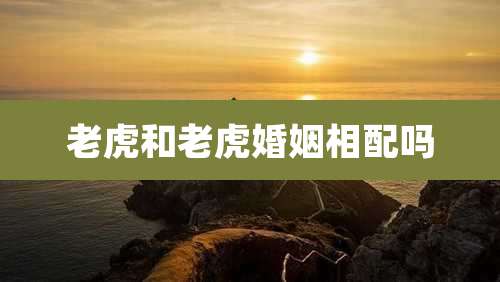 老虎和老虎婚姻相配吗