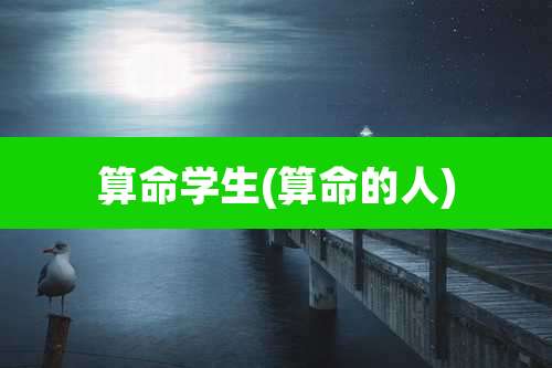 算命学生(算命的人)