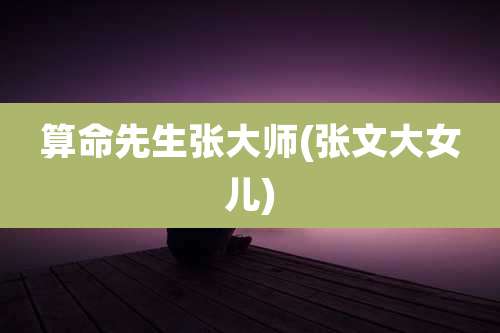 算命先生张大师(张文大女儿)