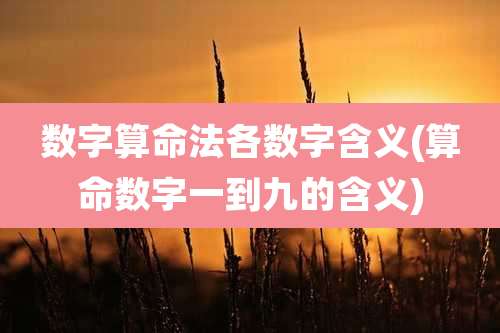 数字算命法各数字含义(算命数字一到九的含义)