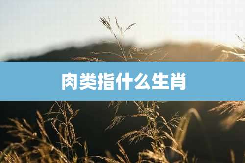 肉类指什么生肖