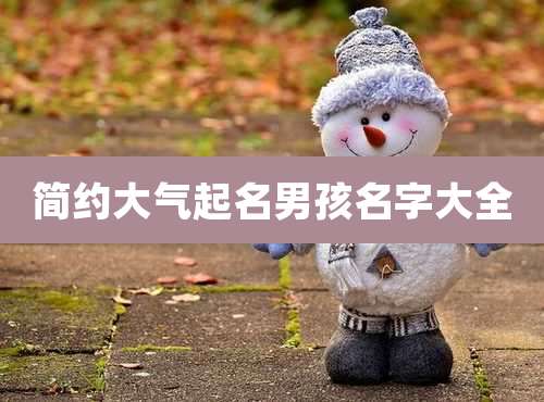 简约大气起名男孩名字大全