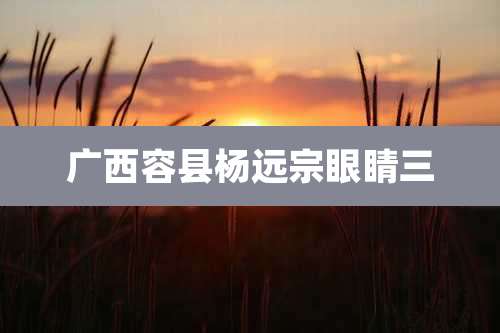 广西容县杨远宗眼睛三