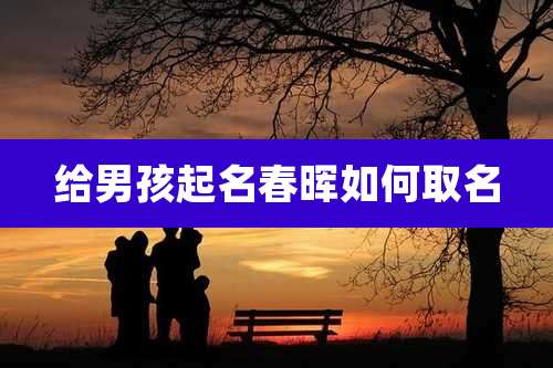 给男孩起名春晖如何取名