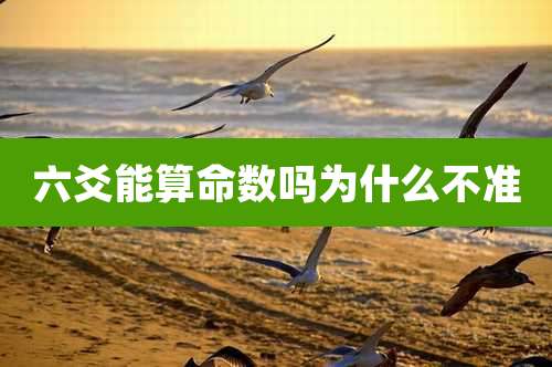 六爻能算命数吗为什么不准