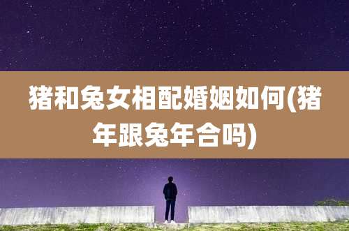 猪和兔女相配婚姻如何(猪年跟兔年合吗)