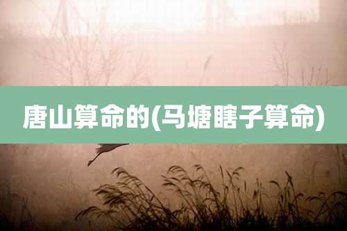 唐山算命的(马塘瞎子算命)