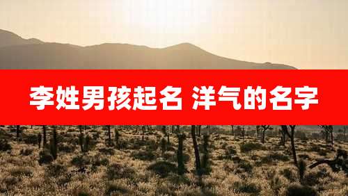 李姓男孩起名 洋气的名字