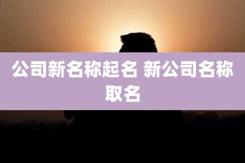 公司新名称起名 新公司名称取名