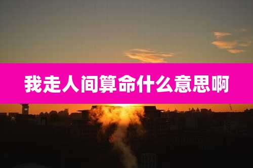 我走人间算命什么意思啊