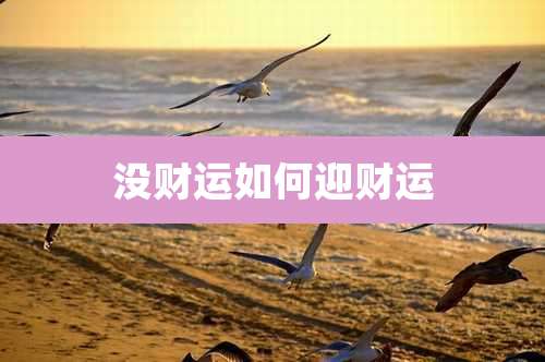 没财运如何迎财运