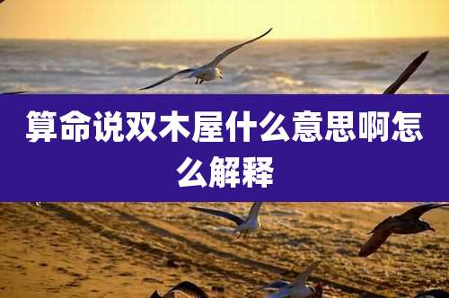 算命说双木屋什么意思啊怎么解释