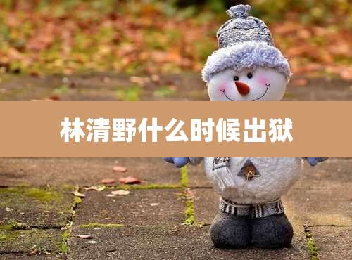 林清野什么时候出狱