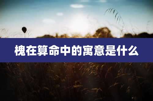 槐在算命中的寓意是什么