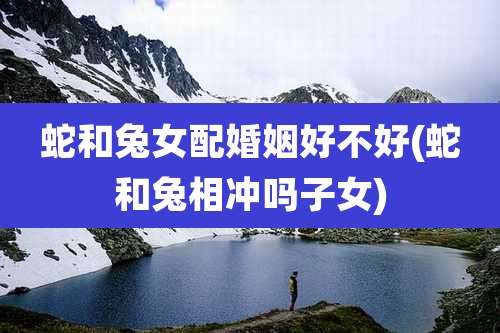蛇和兔女配婚姻好不好(蛇和兔相冲吗子女)