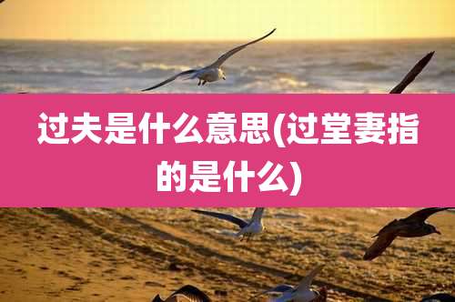 过夫是什么意思(过堂妻指的是什么)